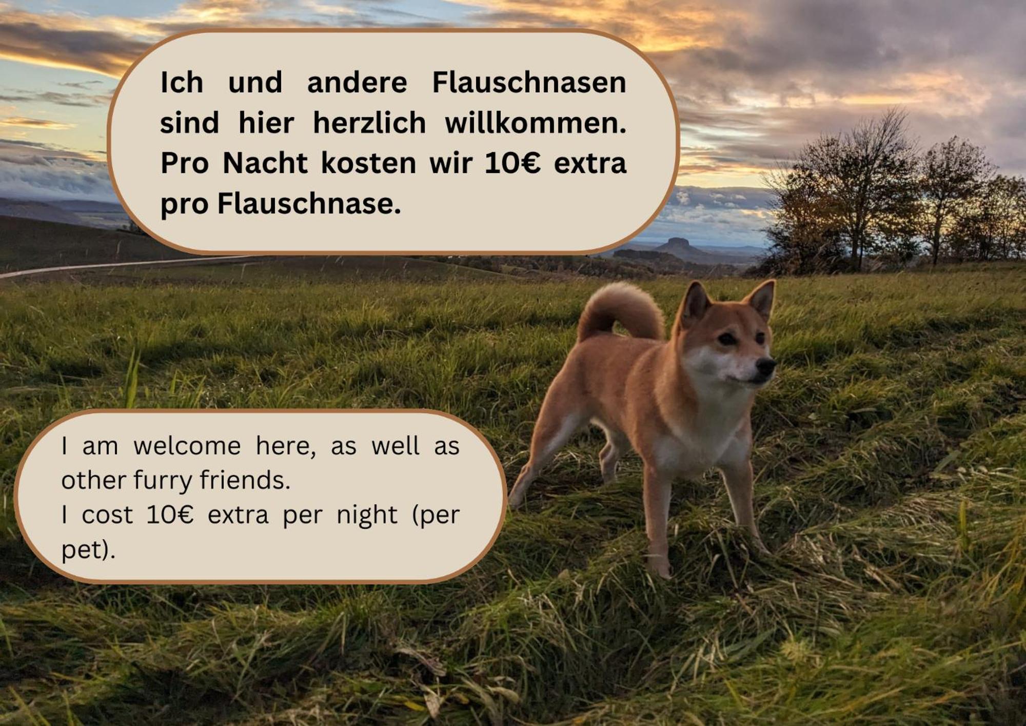 W2 - Urlaubsmagie - Im Herzen Des Elbsandsteingebirges Зебниц Экстерьер фото